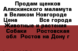 Продам щенков Аляскинского маламута в Великом Новгороде › Цена ­ 5 000 - Все города Животные и растения » Собаки   . Ростовская обл.,Ростов-на-Дону г.